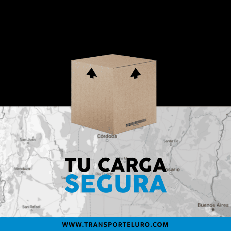 Web Sonar 3-20